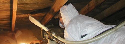 Dry ice removing the black staining in the attic roof decking